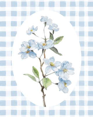 Image Not Available